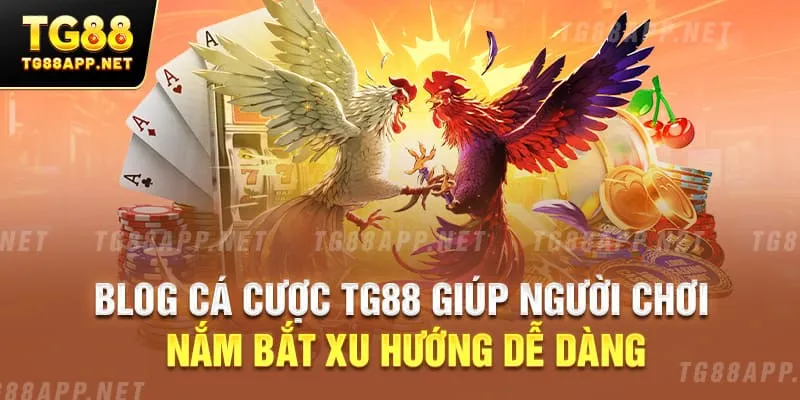 Blog cá cược TG88 giúp người chơi nắm bắt xu hướng dễ dàng