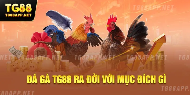 Đá gà TG88 ra đời với mục đích gì