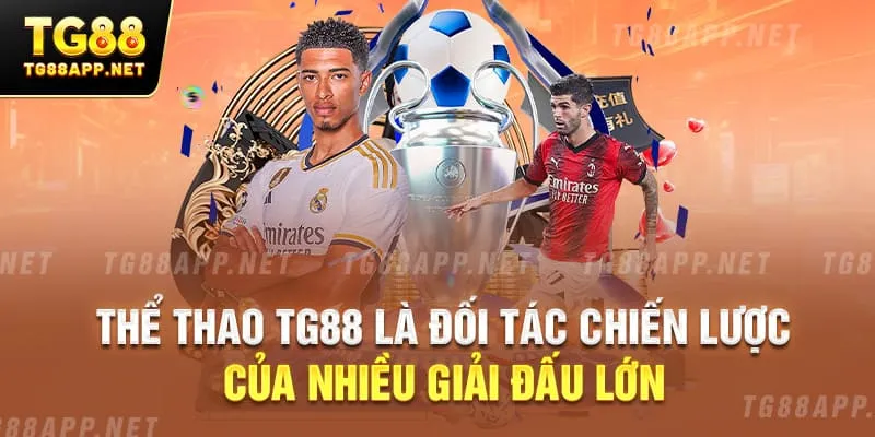 Thể thao TG88 là đối tác chiến lược của nhiều giải đấu lớn