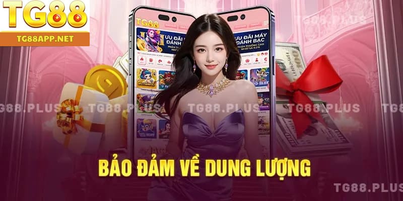 Bảo đảm về dung lượng