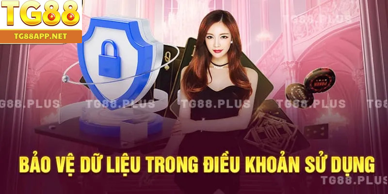 Bảo vệ dữ liệu trong điều khoản sử dụng