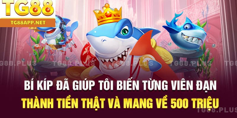 Bí kíp đã giúp tôi biến từng viên đạn thành tiền thật và mang về 500 triệu