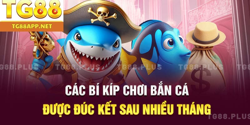 Các bí kíp chơi bắn cá được đúc kết sau nhiều tháng