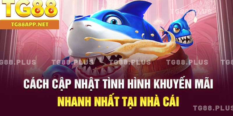 Cách cập nhật tình hình khuyến mãi nhanh nhất tại nhà cái