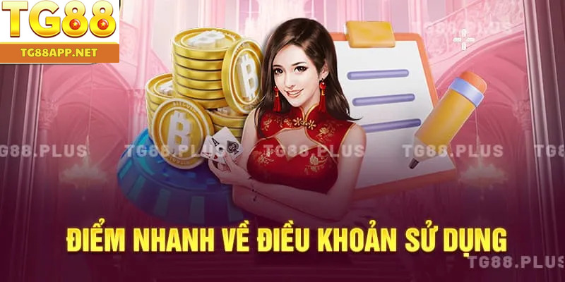 Điểm nhanh về điều khoản sử dụng