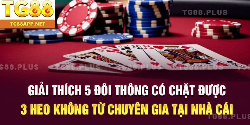 Giải thích 5 đôi thông có chặt được 3 heo không từ chuyên gia tại nhà cái