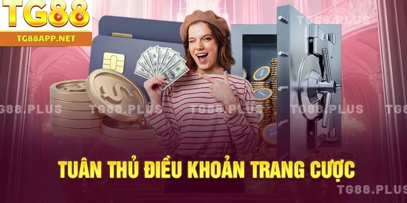 Tuân thủ điều khoản trang cược
